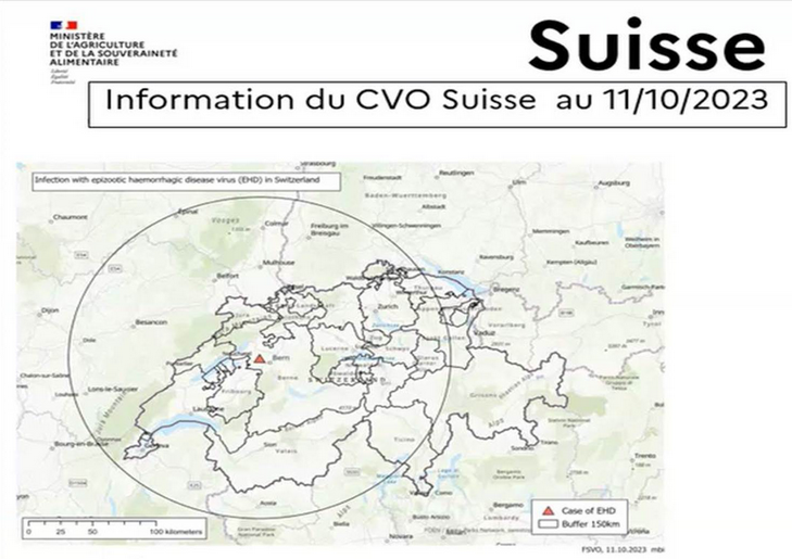 Illustration de l'actualité